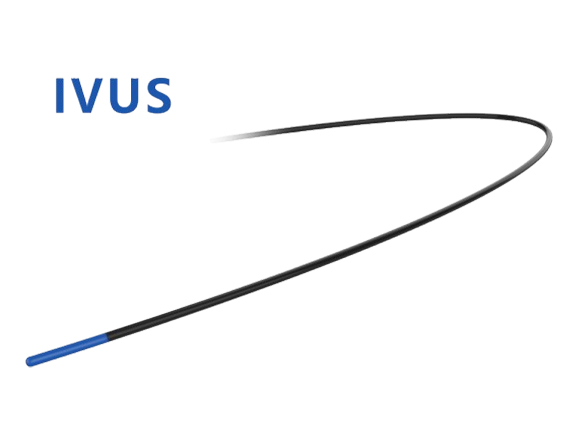 IVUS